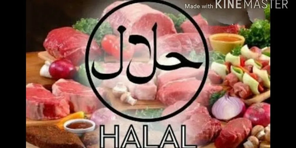 Apa ciri ciri makanan halal?