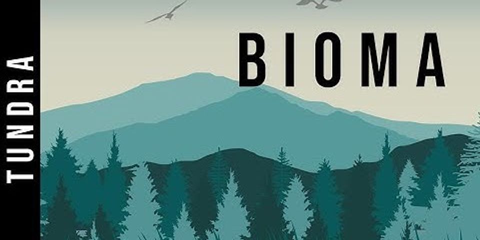 Bioma tundra itu apa?