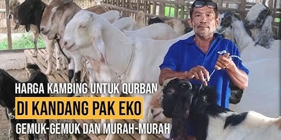 Harga kambing Qurban 2021 Jawa Tengah