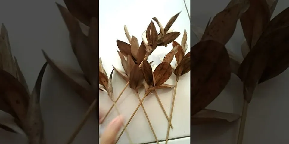 Karakter serat alam dari sabut kelapa