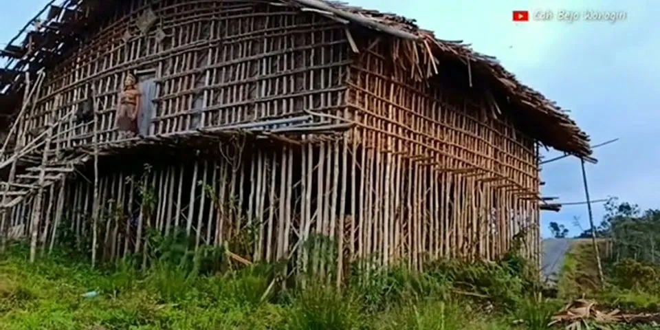 Kenapa rumah adat Papua Barat disebut Rumah Kaki Seribu?