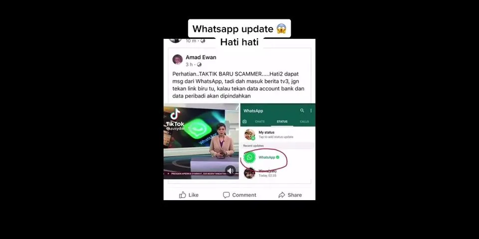Viral Tentang WhatsApp