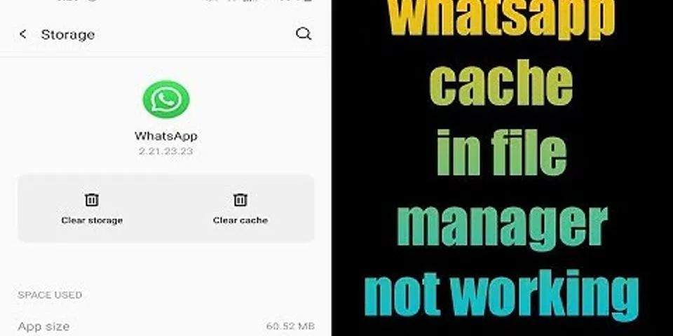Where is WhatsApp cache folder?